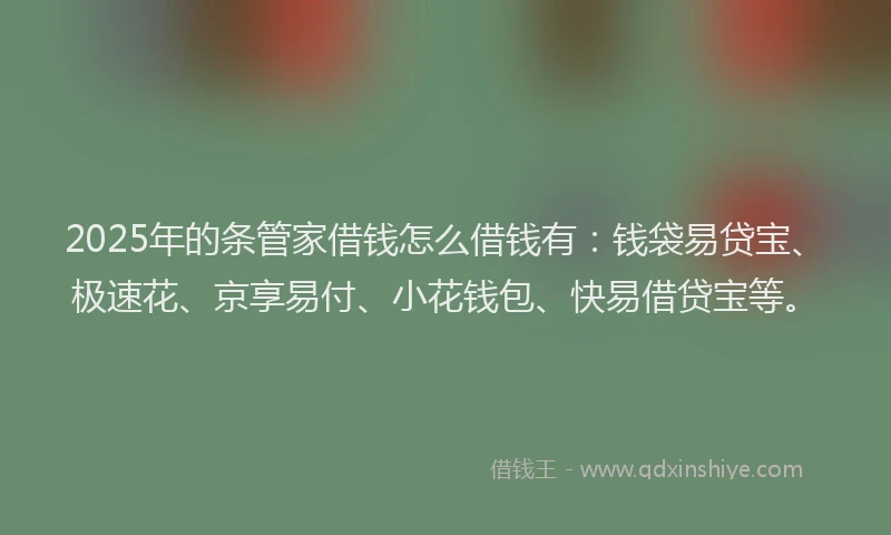 2025年的条管家借钱怎么借钱有：钱袋易贷宝、极速花、京享易付、小花钱包、快易借贷宝等。