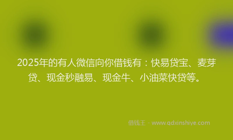 2025年的有人微信向你借钱有：快易贷宝、麦芽贷、现金秒融易、现金牛、小油菜快贷等。