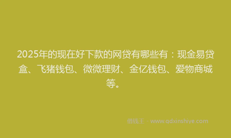 2025年的现在好下款的网贷有哪些有：现金易贷盒、飞猪钱包、微微理财、金亿钱包、爱物商城等。