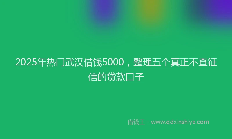 2025年热门武汉借钱5000，整理五个真正不查征信的贷款口子