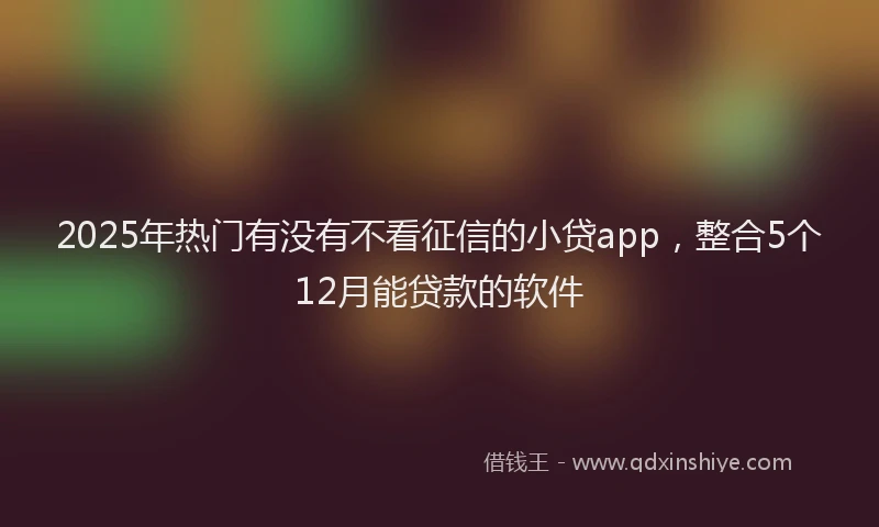 2025年热门有没有不看征信的小贷app，整合5个12月能贷款的软件