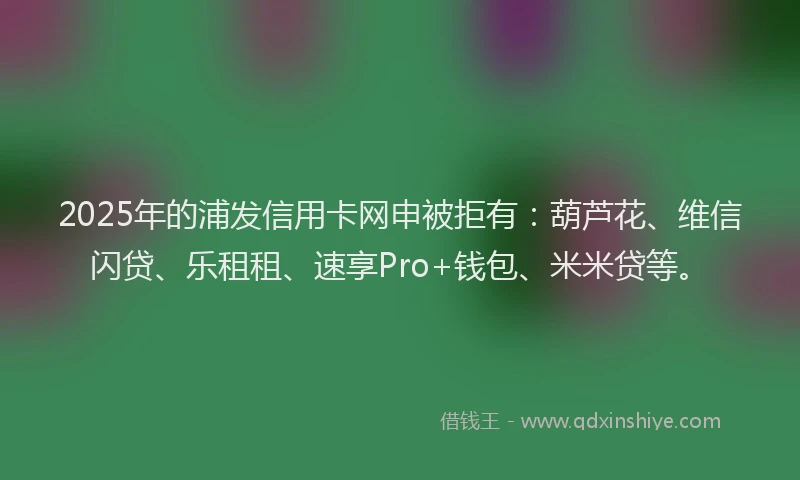 2025年的浦发信用卡网申被拒有：葫芦花、维信闪贷、乐租租、速享Pro+钱包、米米贷等。