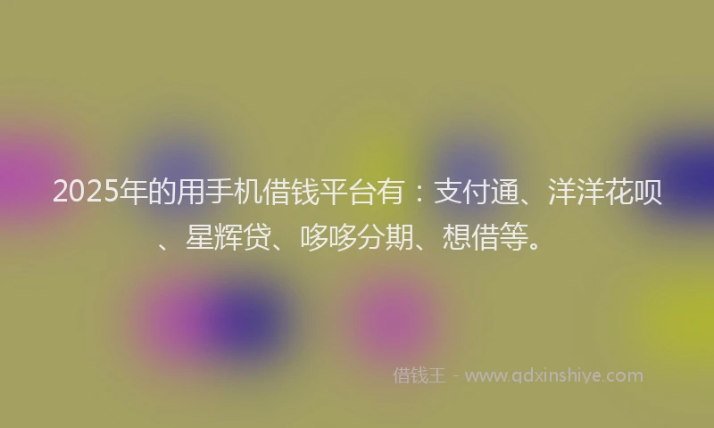 2025年的用手机借钱平台有：支付通、洋洋花呗、星辉贷、哆哆分期、想借等。