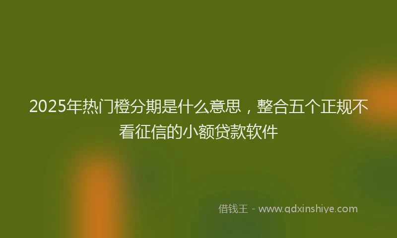2025年热门橙分期是什么意思，整合五个正规不看征信的小额贷款软件