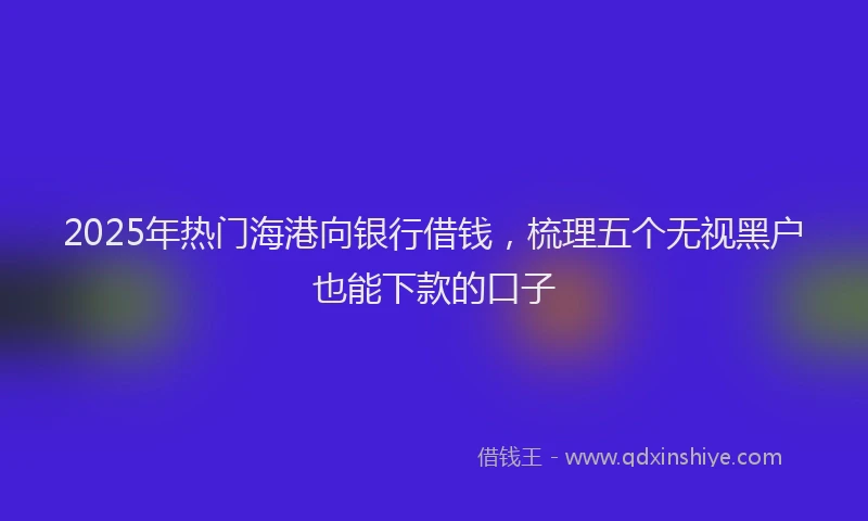2025年热门海港向银行借钱，梳理五个无视黑户也能下款的口子