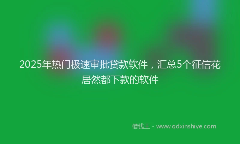 2025年热门极速审批贷款软件，汇总5个征信花居然都下款的软件