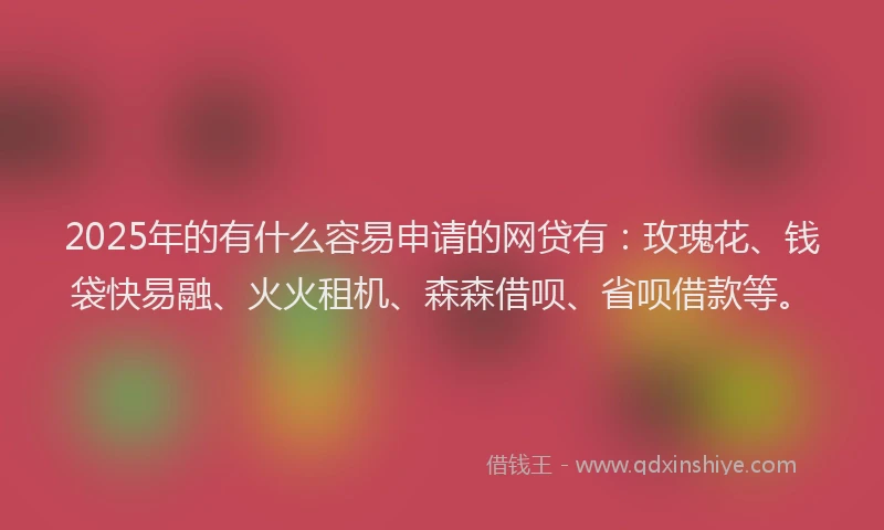2025年的有什么容易申请的网贷有：玫瑰花、钱袋快易融、火火租机、森森借呗、省呗借款等。