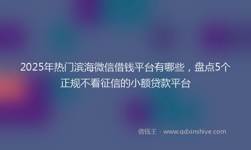 2025年热门滨海微信借钱平台有哪些，盘点5个正规不看征信的小额贷款平台