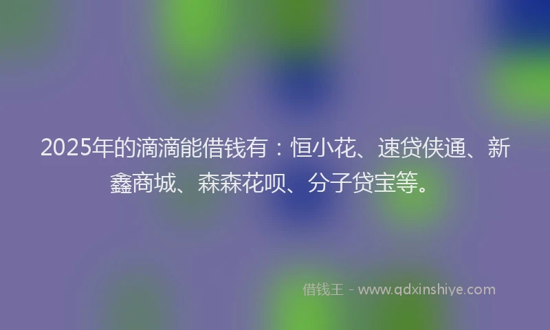 2025年的滴滴能借钱有：恒小花、速贷侠通、新鑫商城、森森花呗、分子贷宝等。