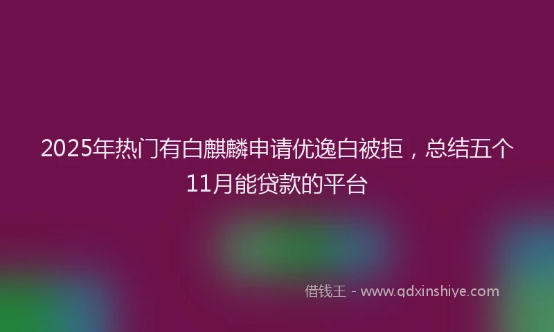 2025年热门有白麒麟申请优逸白被拒，总结五个11月能贷款的平台