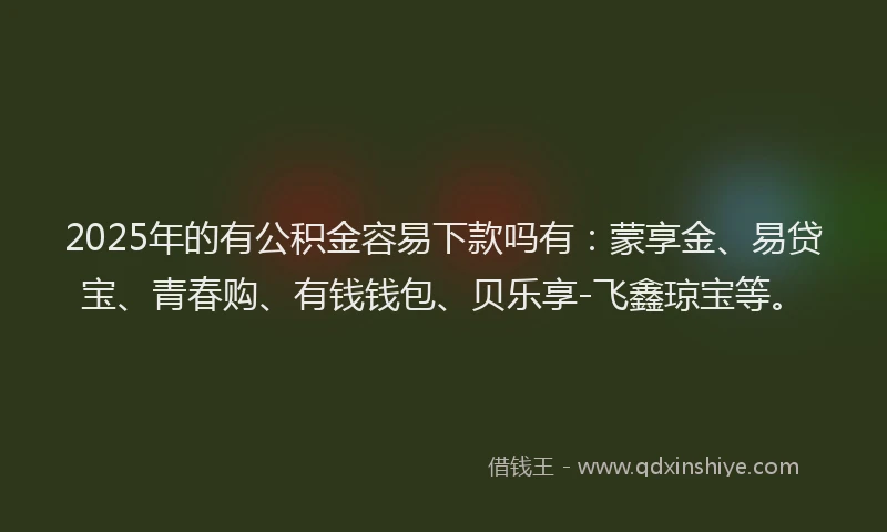 2025年的有公积金容易下款吗有：蒙享金、易贷宝、青春购、有钱钱包、贝乐享-飞鑫琼宝等。