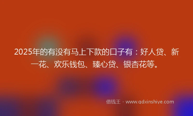 2025年的有没有马上下款的口子有：好人贷、新一花、欢乐钱包、臻心贷、银杏花等。