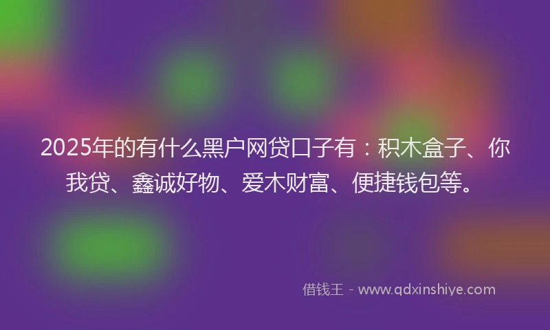 2025年的有什么黑户网贷口子有：积木盒子、你我贷、鑫诚好物、爱木财富、便捷钱包等。