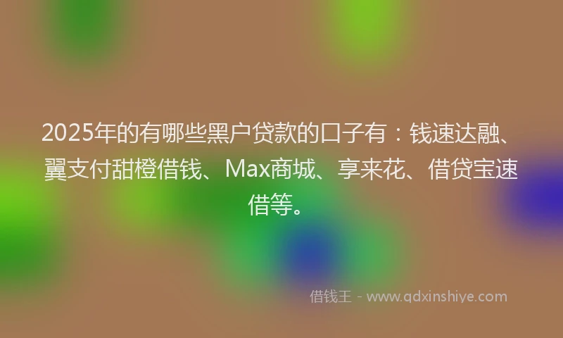 2025年的有哪些黑户贷款的口子有：钱速达融、翼支付甜橙借钱、Max商城、享来花、借贷宝速借等。