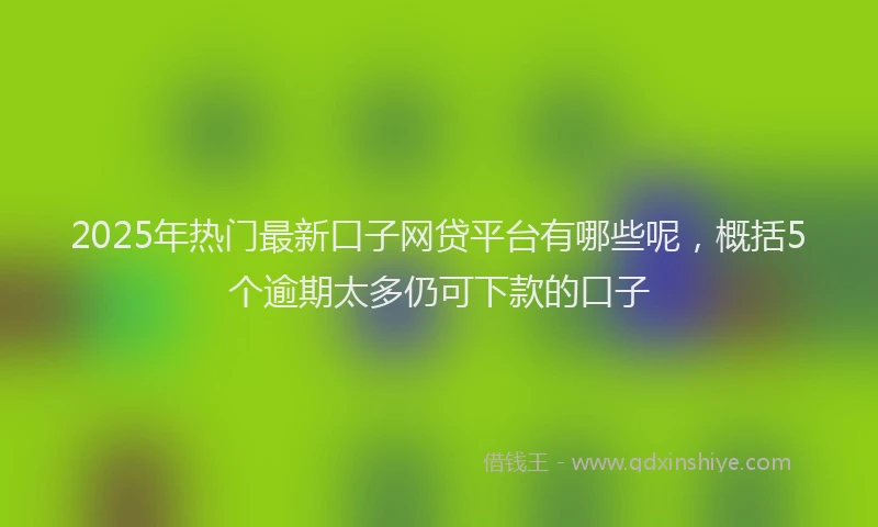 2025年热门最新口子网贷平台有哪些呢，概括5个逾期太多仍可下款的口子