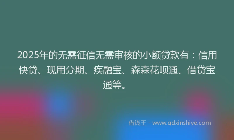 2025年的无需征信无需审核的小额贷款有：信用快贷、现用分期、疾融宝、森森花呗通、借贷宝通等。
