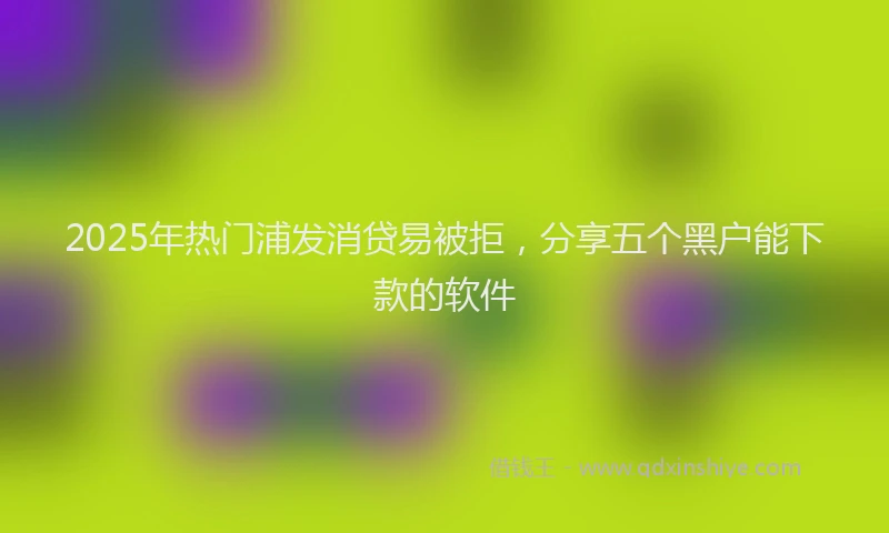 2025年热门浦发消贷易被拒，分享五个黑户能下款的软件