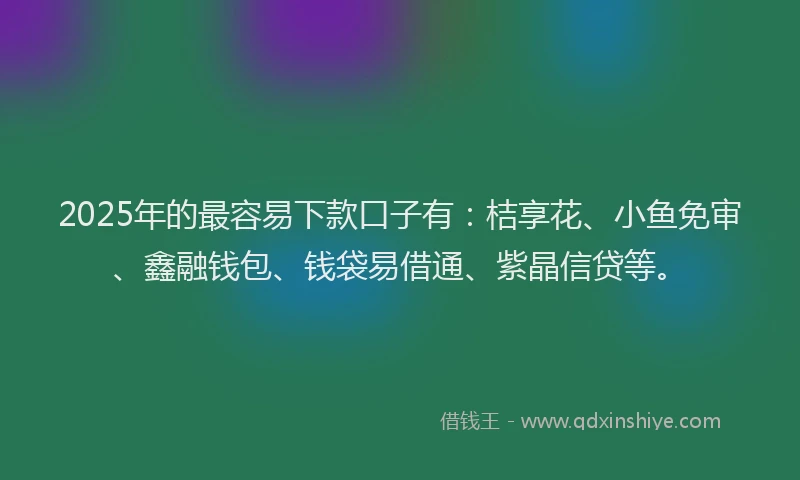2025年的最容易下款口子有：桔享花、小鱼免审、鑫融钱包、钱袋易借通、紫晶信贷等。