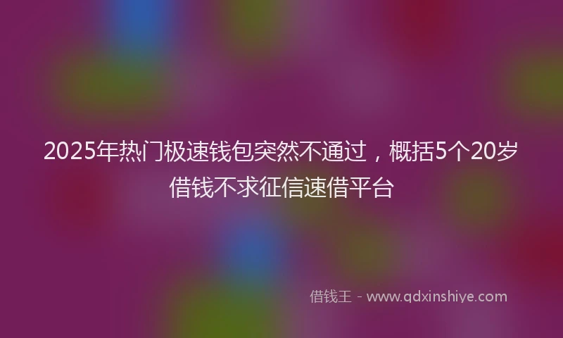 2025年热门极速钱包突然不通过，概括5个20岁借钱不求征信速借平台