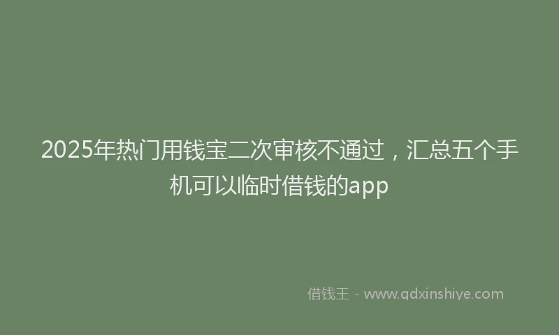 2025年热门用钱宝二次审核不通过，汇总五个手机可以临时借钱的app