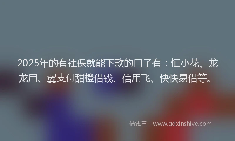2025年的有社保就能下款的口子有：恒小花、龙龙用、翼支付甜橙借钱、信用飞、快快易借等。