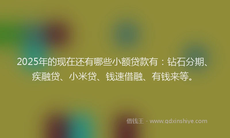 2025年的现在还有哪些小额贷款有：钻石分期、疾融贷、小米贷、钱速借融、有钱来等。