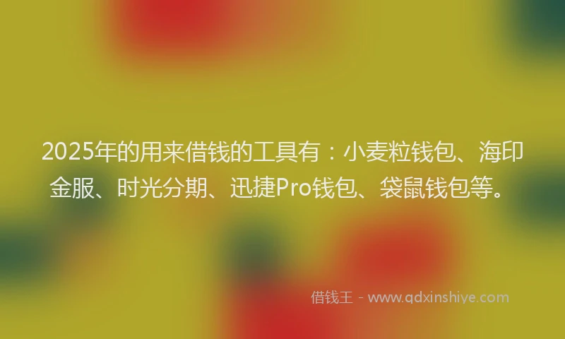 2025年的用来借钱的工具有：小麦粒钱包、海印金服、时光分期、迅捷Pro钱包、袋鼠钱包等。