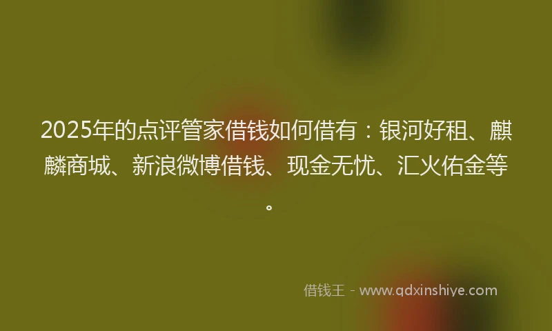 2025年的点评管家借钱如何借有：银河好租、麒麟商城、新浪微博借钱、现金无忧、汇火佑金等。