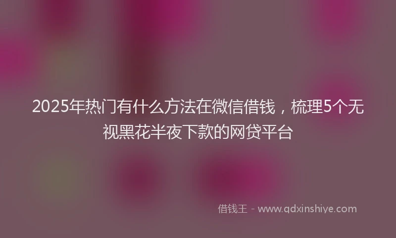 2025年热门有什么方法在微信借钱，梳理5个无视黑花半夜下款的网贷平台