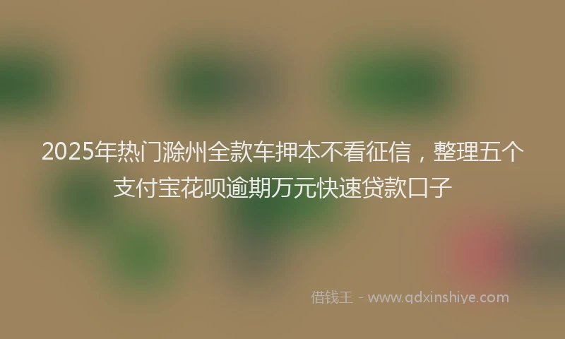 2025年热门滁州全款车押本不看征信，整理五个支付宝花呗逾期万元快速贷款口子