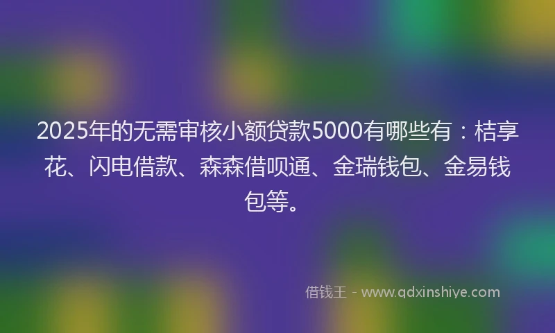 2025年的无需审核小额贷款5000有哪些有：桔享花、闪电借款、森森借呗通、金瑞钱包、金易钱包等。