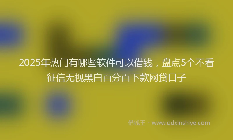 2025年热门有哪些软件可以借钱，盘点5个不看征信无视黑白百分百下款网贷口子