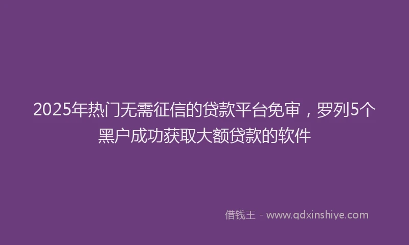 2025年热门无需征信的贷款平台免审，罗列5个黑户成功获取大额贷款的软件