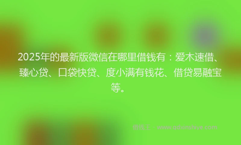 2025年的最新版微信在哪里借钱有：爱木速借、臻心贷、口袋快贷、度小满有钱花、借贷易融宝等。