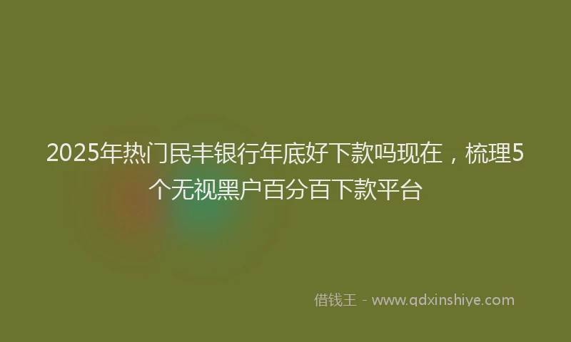 2025年热门民丰银行年底好下款吗现在，梳理5个无视黑户百分百下款平台