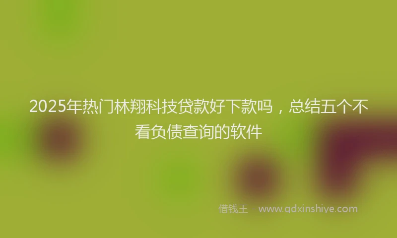 2025年热门林翔科技贷款好下款吗，总结五个不看负债查询的软件