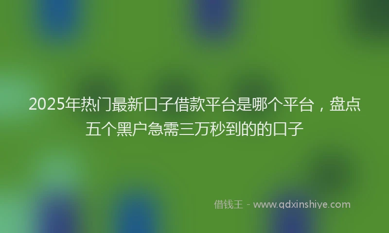 2025年热门最新口子借款平台是哪个平台，盘点五个黑户急需三万秒到的的口子