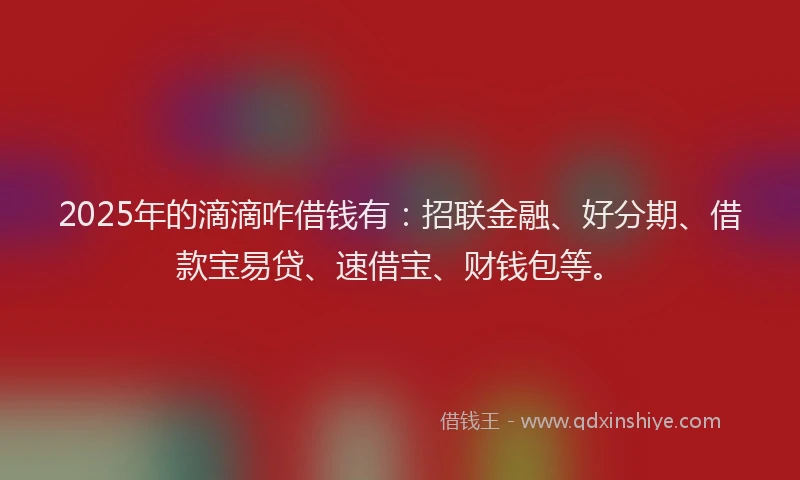 2025年的滴滴咋借钱有：招联金融、好分期、借款宝易贷、速借宝、财钱包等。