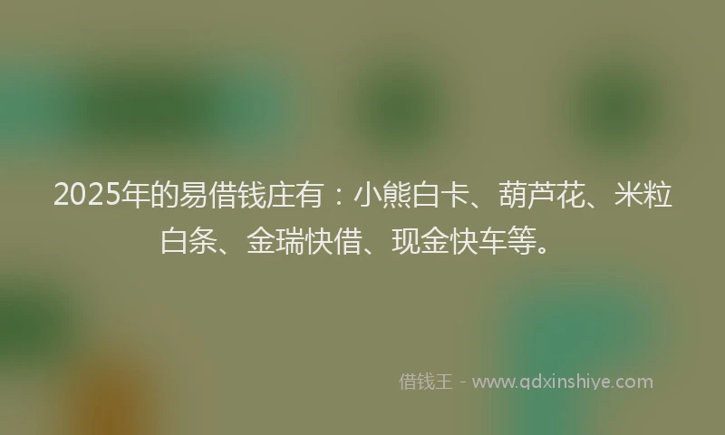 2025年的易借钱庄有：小熊白卡、葫芦花、米粒白条、金瑞快借、现金快车等。
