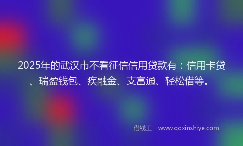 2025年的武汉市不看征信信用贷款有：信用卡贷、瑞盈钱包、疾融金、支富通、轻松借等。