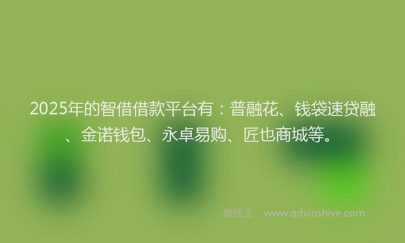 2025年的智借借款平台有：普融花、钱袋速贷融、金诺钱包、永卓易购、匠也商城等。