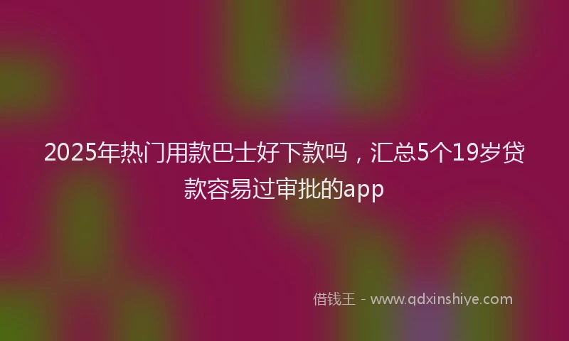 2025年热门用款巴士好下款吗，汇总5个19岁贷款容易过审批的app