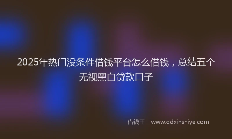2025年热门没条件借钱平台怎么借钱，总结五个无视黑白贷款口子