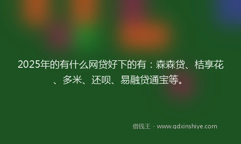2025年的有什么网贷好下的有：森森贷、桔享花、多米、还呗、易融贷通宝等。