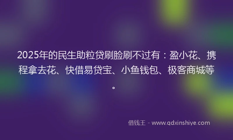 2025年的民生助粒贷刷脸刷不过有：盈小花、携程拿去花、快借易贷宝、小鱼钱包、极客商城等。
