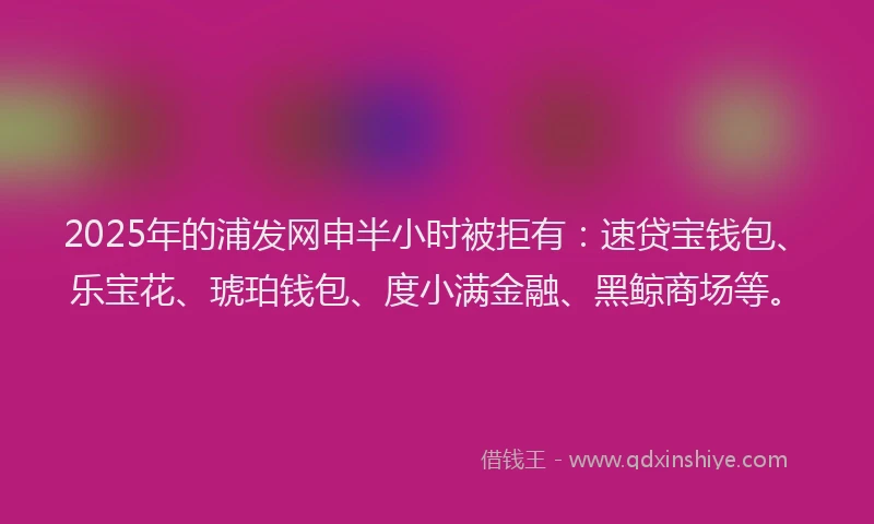 2025年的浦发网申半小时被拒有：速贷宝钱包、乐宝花、琥珀钱包、度小满金融、黑鲸商场等。
