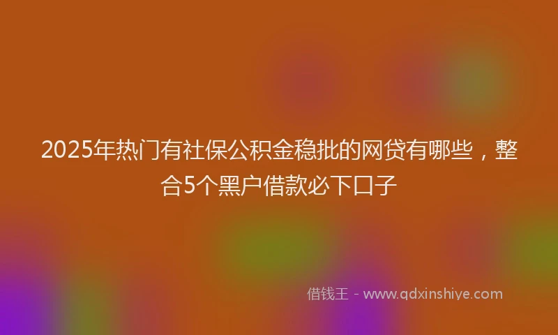 2025年热门有社保公积金稳批的网贷有哪些，整合5个黑户借款必下口子