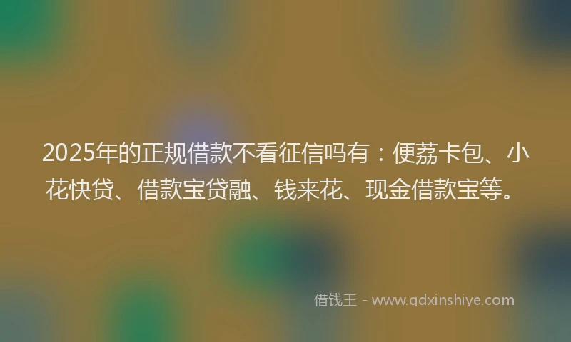 2025年的正规借款不看征信吗有：便荔卡包、小花快贷、借款宝贷融、钱来花、现金借款宝等。