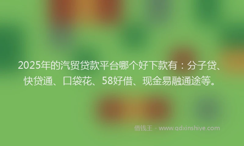 2025年的汽贸贷款平台哪个好下款有：分子贷、快贷通、口袋花、58好借、现金易融通途等。