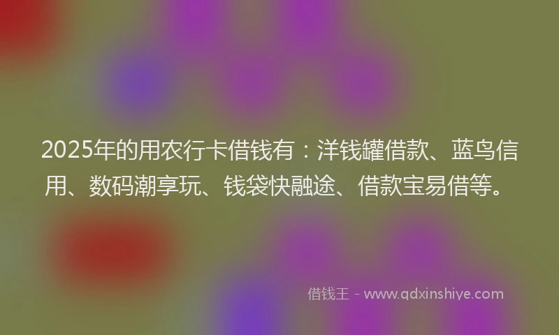 2025年的用农行卡借钱有：洋钱罐借款、蓝鸟信用、数码潮享玩、钱袋快融途、借款宝易借等。